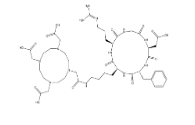 CAS号：909024-55-1；DOTA-cyclo(RGDfK) acetate
