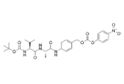 cas:1884578-00-0，Boc-Val-Ala-PAB-PNP， ADC试剂