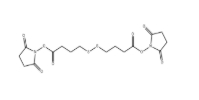 cas:98604-88-7，Bis-SS-C3-NHS ester，抗体药物偶联物（ADC）