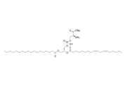 1-stearoyl-2-linoleoyl-sn-glycero-3-phospho-L-serine (sodium salt) (18:0 -18:2 PS)，CAS:322647-11-0，1-硬脂酰基-2-亚油酰基-sn-甘油-3-磷酸-L-丝氨酸(钠盐)