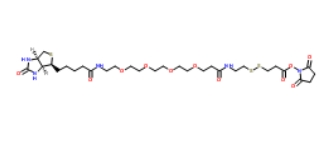 Biotin-PEG4-S-S-NHS	 1260247-51-5      生物素-四聚乙二醇-S-S-活性酯