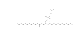 1,2-二十二酰基-sn-glycero-3-胆碱磷酸(DLPC)，18194-25-7