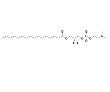 17364-16-8，P-LysoPC，棕榈酰溶血卵磷脂