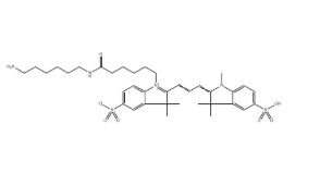 CAS：2183440-43-7，水溶 Cy3-NH2