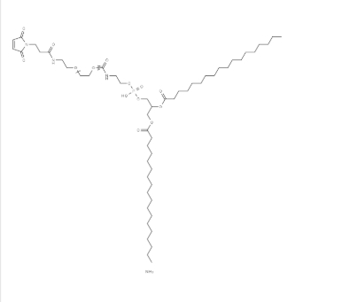 474922-22-0，DSPE -PEG2000- Maleimide，磷脂酰乙醇胺-聚乙二醇2000-马来酰亚胺