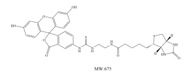 FITC-BIOTIN
