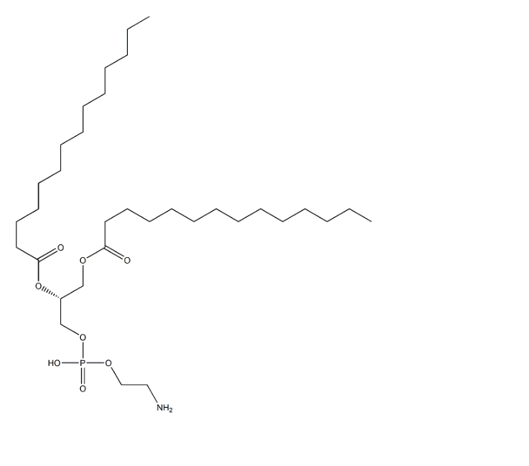 998-07-2，DMPE（1,2-二肉豆蔻酰-sn-甘油-3-磷酰乙醇胺）