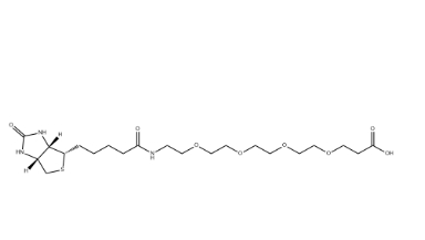 721431-18-1，(+)-Biotin-PEG4-CH2CH2COOH