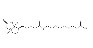 1365655-89-5，(+)-Biotin-PEG2-CH2CH2COOH