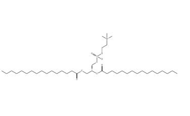 63-89-8，DPPC（1,2-二棕榈酰-sn-甘油-3-磷酰胆碱）