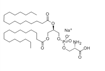DPPS，CAS：145849-32-7，1,2-二棕榈酰-sn-甘油-3-磷脂酰丝氨酸