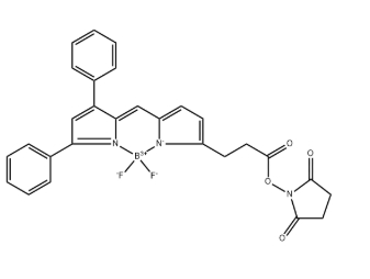 BODIPY 530/550 NHS Ester，216961-93-2