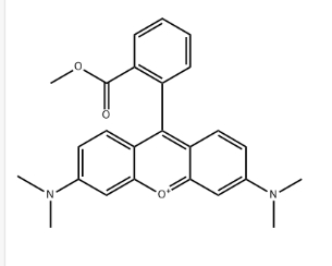 115532-49-5,Tetramethylrhodamine