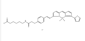 268725-21-9，BODIPY 630-X