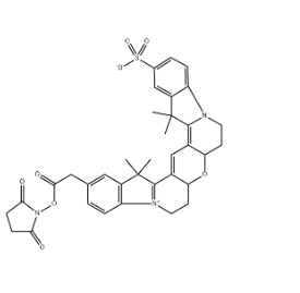228272-52-4，Cyanine3B NHS ester