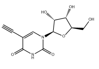 69075-42-9，5-Ethynyl uridine