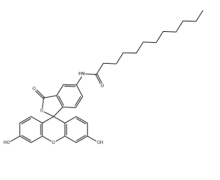 107827-77-0，5-Dodecanoylaminofluorescein