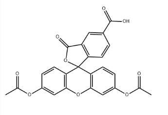 79955-27-4，5-Carboxyfluorescein diacetate(5-CFDA)