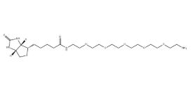 113072-75-6，Biotin-PEG5-amine