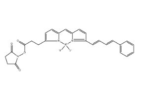 150152-70-8，BODIPY 581/591 NHS Ester