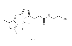 CAS：209541-26-4，BODIPY FL-EDA