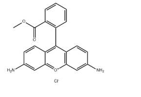 62669-70-9，Rhodamine 123