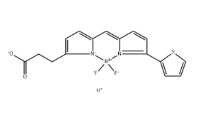 150173-72-1，BODIPY 558/568 carboxylic acid