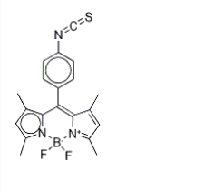 1349031-04-4｜BODIPY Isothiocyanate
