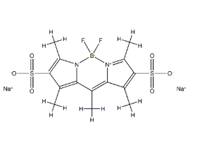 121461-69-6，Pyrromethene 556