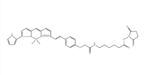 BODIPY 650-X,SE，235439-04-0