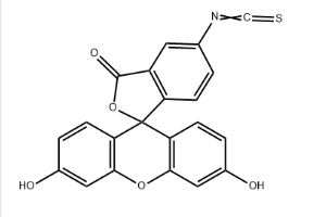 3326-32-7｜FlTC Isothiocyanate