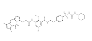 BODIPY FL Glibenclamide，730931-46-1