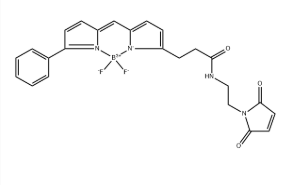 BODIPY R6G maleimide，2183473-32-5