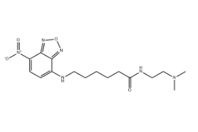 Lysotracker Yellow HCK-123，1064123-31-4