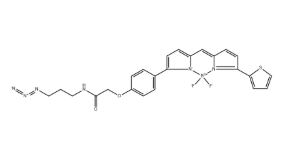 BDP TR azide，CAS：2183473-27-8