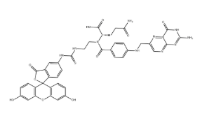 583037-91-6，FITC-Folate