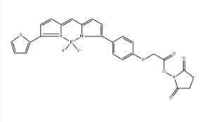 BDP TR NHS Ester（CAS：150152-65-1）