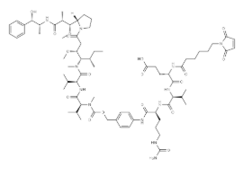 CAS：2873452-49-2，MC-EVCit-PAB-MMAE
