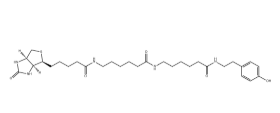 851113-28-5，Biotin-XX Tyramide
