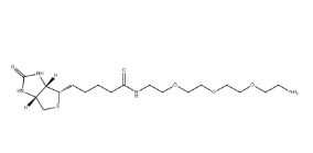 359860-27-8，Biotin-PEG3-amine
