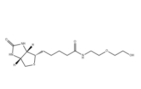 Biotin-PEG2-OH，717119-80-7