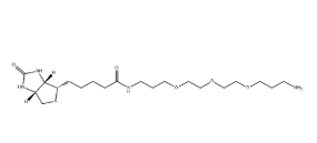 183896-00-6，Biotin-C1-PEG3-C1-NH2