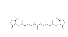 1240387-33-0，Urea crosslinker-C4-arm, NHS ester