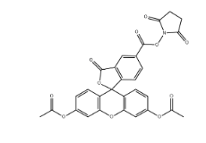 5-diacetate FAM NHS，150206-05-6