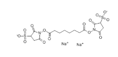 127634-19-9，BS3 Cross linker(diso dium)