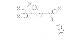 IRDye 800 NHS，CAS：956579-01-4