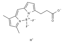 BDP FL acid，CAS：165599-63-3