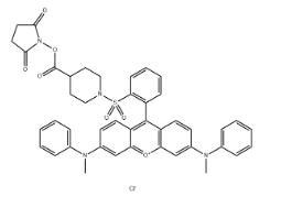 QSY-7 NHS ester，CAS：304014-12-8