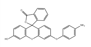 359010-70-1｜APF｜Aminophenyl Fluorescein