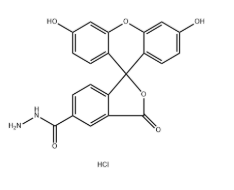 2183440-64-2,5-FAM hydrazide HCl